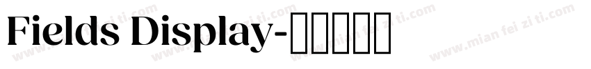 Fields Display字体转换
